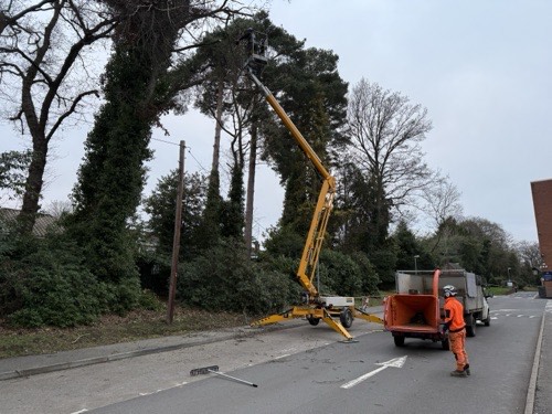 Cherry picker tree work on roadside