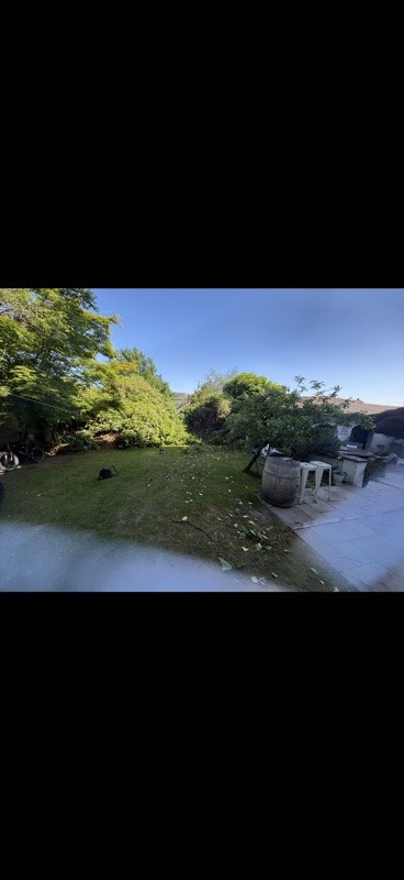 Garden after hedge cutting